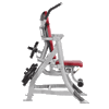 RPL-5601 Abdominals Hoist