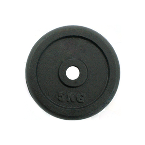 Perk Sports Δίσκος Σίδερο 5kg EF4703