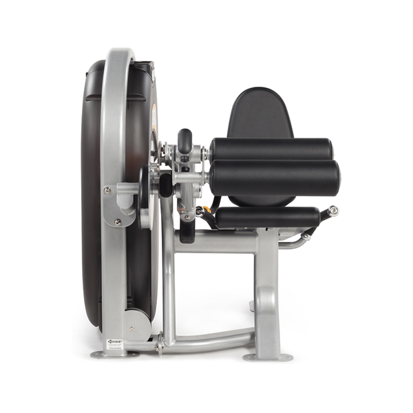 CL-3402 Leg Curl  Hoist