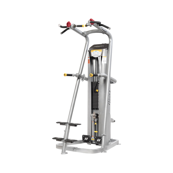 RS-1700 Chin Dip Assist Hoist
